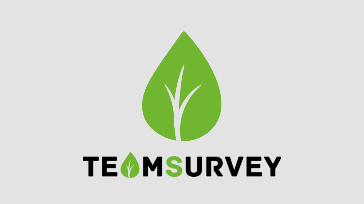 Team Survey